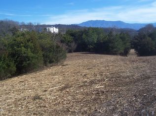 Township Road 4 Veterans Blvd, Pigeon Forge, TN 37863