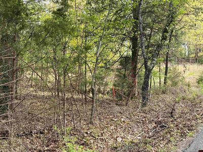 Lots 49/50 Mc #7002, Flippin, AR, 72634
