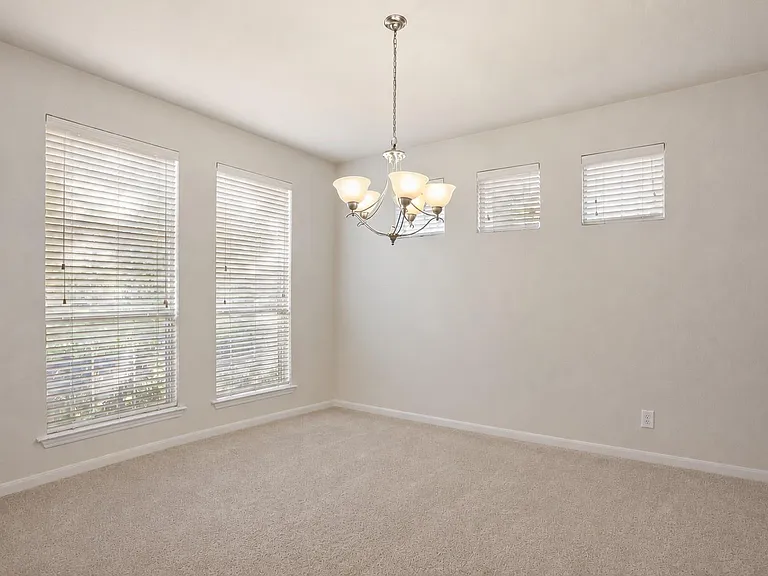 31 Ginger Springs Pl — Photo 6