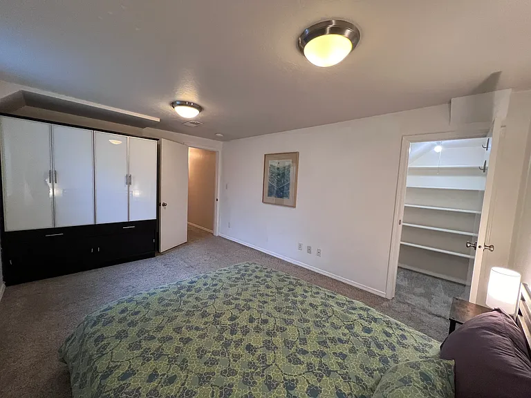 Downstairs bedroom 3 - Queen, closet, built-in