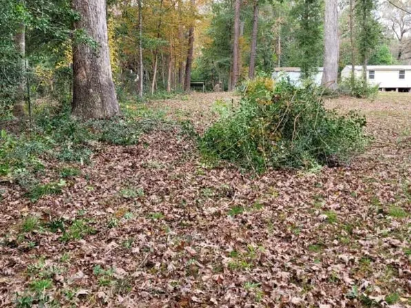 0 Beverly Dr, Shepherd, TX 77371