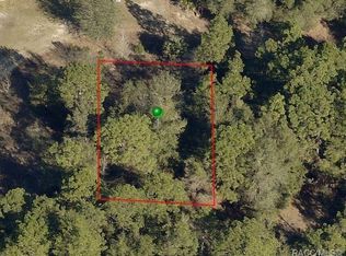 2605 Reagan St, Inverness, FL 34453