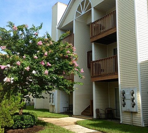 2nd image of 3736 Snowdrift Cir APT 302