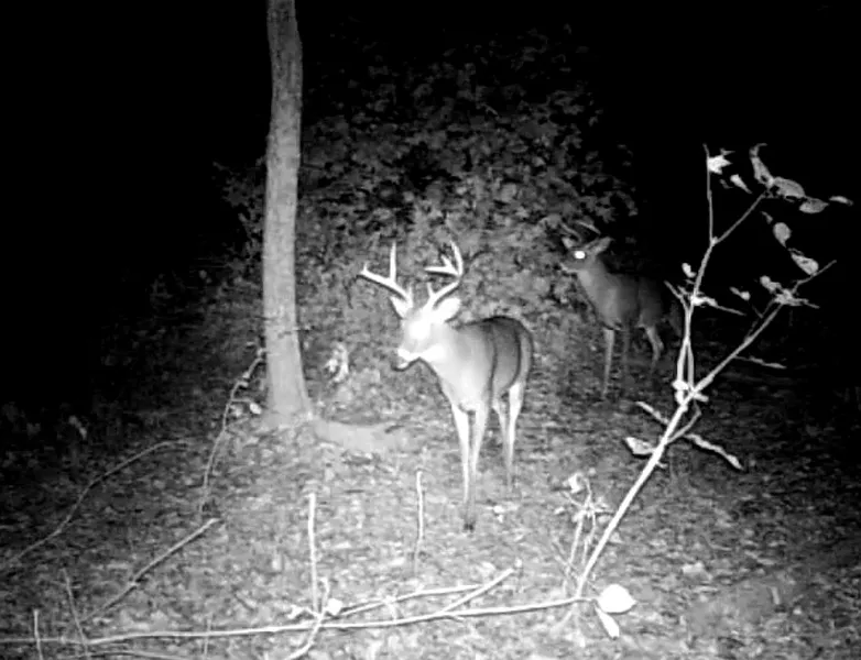 Thumbnail 14