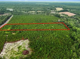 687 White Pond Rd, Williston, SC 29853