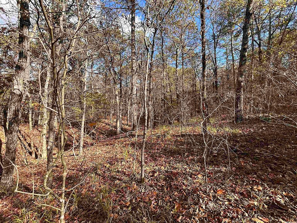 0 Dwight Little Rd, Roland, AR 72135 MLS 22038020 Zillow