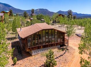 146 Quartz Cir, Bailey, CO 80421