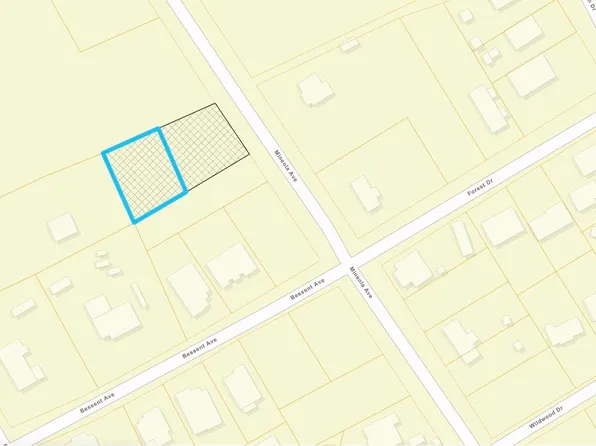 TBD Mineola Ave., Little River, SC 29566