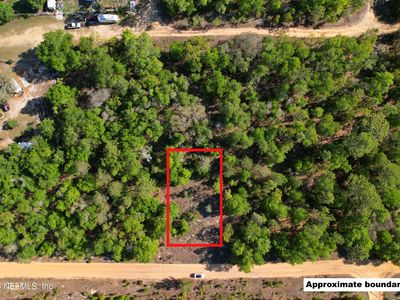 115 DUVAL Avenue, Interlachen, FL, 32148