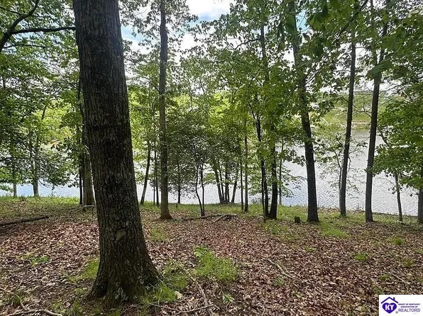 62 Lakeshore Pkwy, Brandenburg, KY 40108