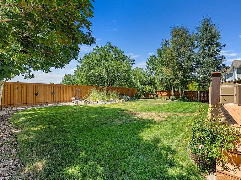 Back yard