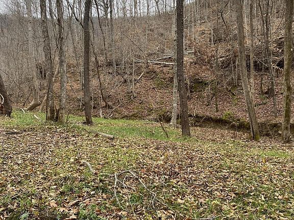 2nd image of 16 Stanley Creek Rd