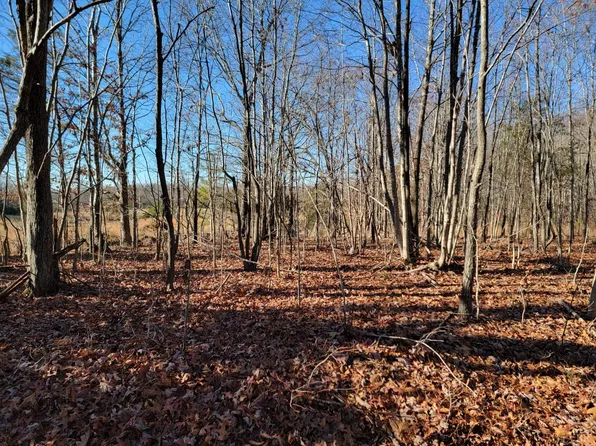 15 Down Creek Rd, Brookneal, VA 24528