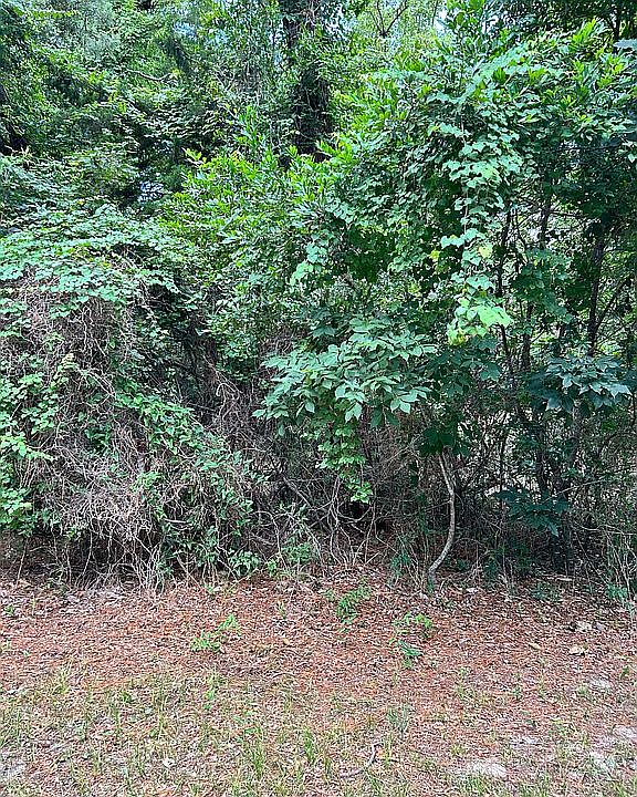 1st image of 111 Carob Ct