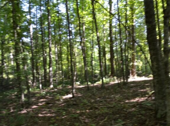 5th image of 3AC Rock Springs Rd