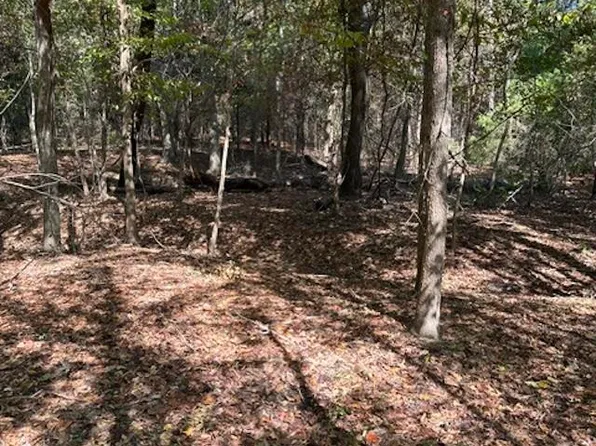 2669 Poppy Rd, Gilmer, TX 75644