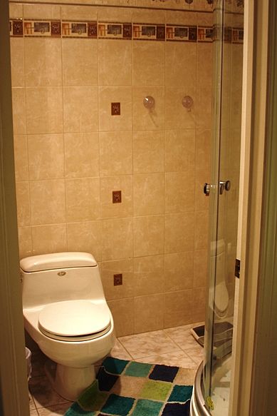 Shower in Master Bath