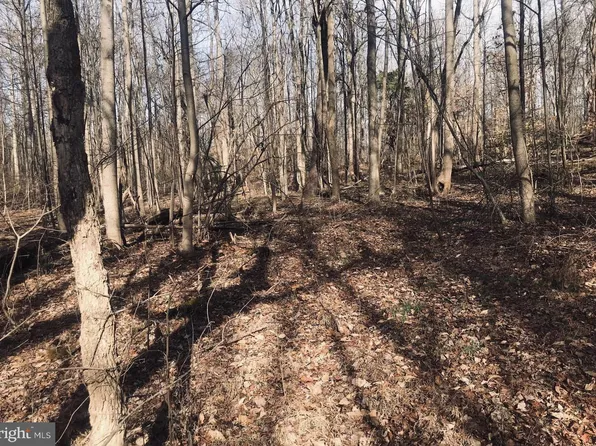 Van Brady Rd, Upper Marlboro, MD 20772