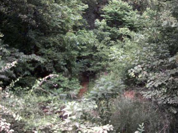 2nd image of 26 Arrowhead Ln Lot 26