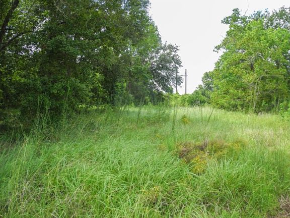 4th image of 1837 Silkwood Cir