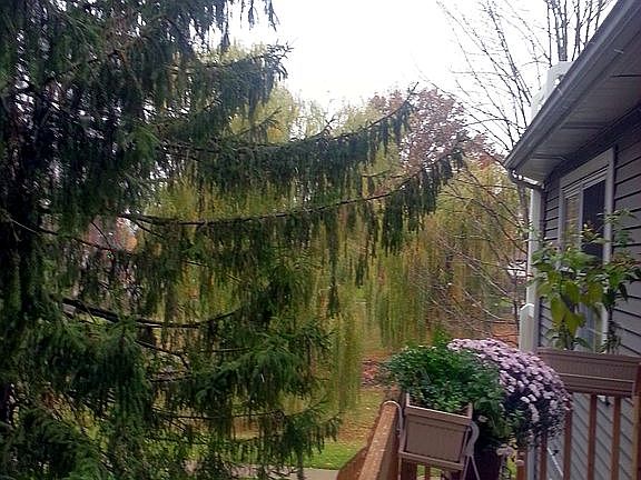 View from front entrance