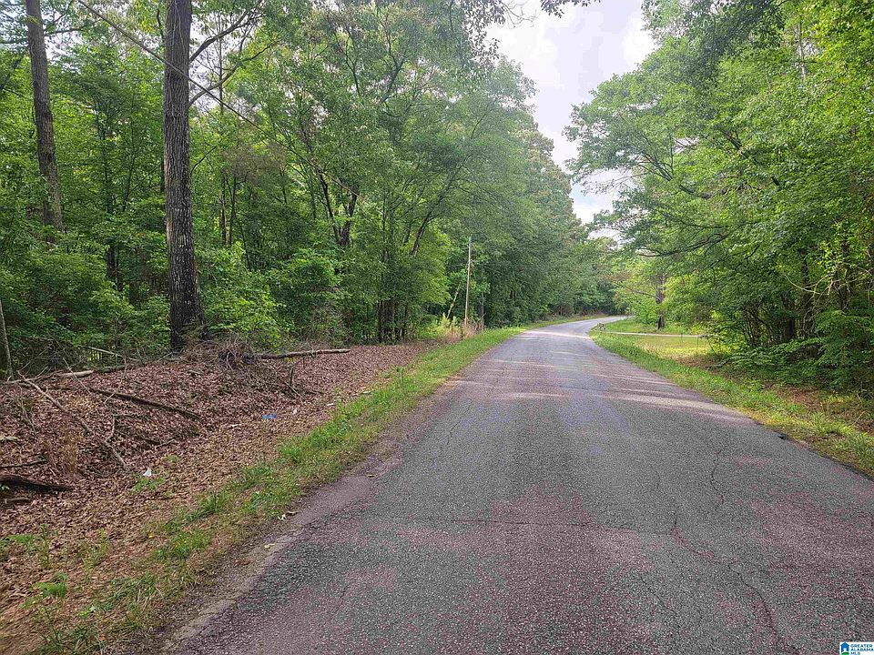 1st image of 46/ACRE S County Road 75 Parcel 1