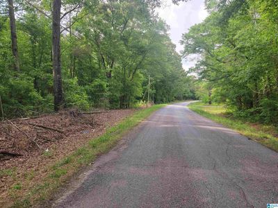 46/ACRE S County Road 75 Parcel 1, And Parcel 3 Roanoke, AL, 36274