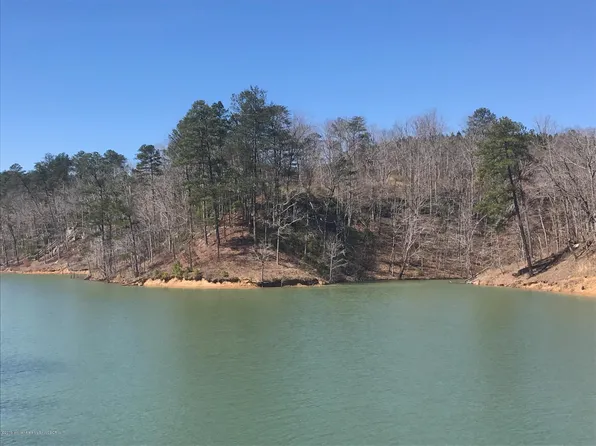 298 Camp Corinth Trl, Double Springs, AL 35553