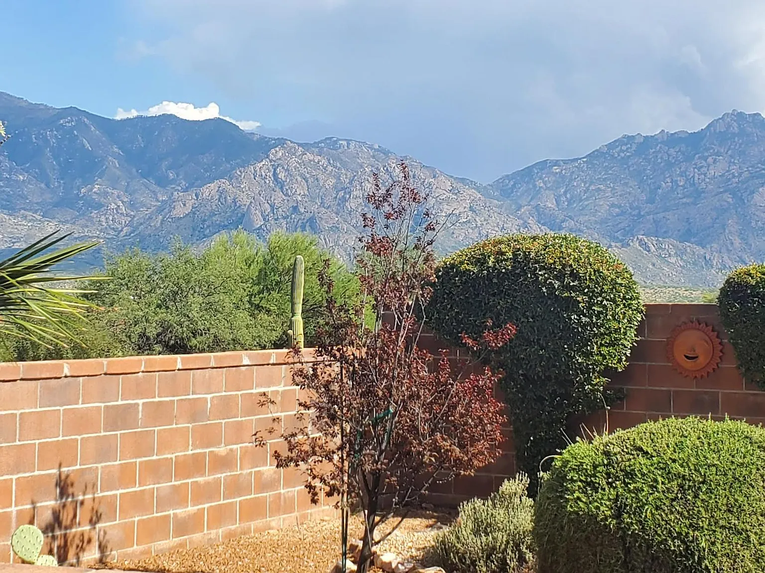 2 bed, 1499 sqft, $2,500 — Photo 2