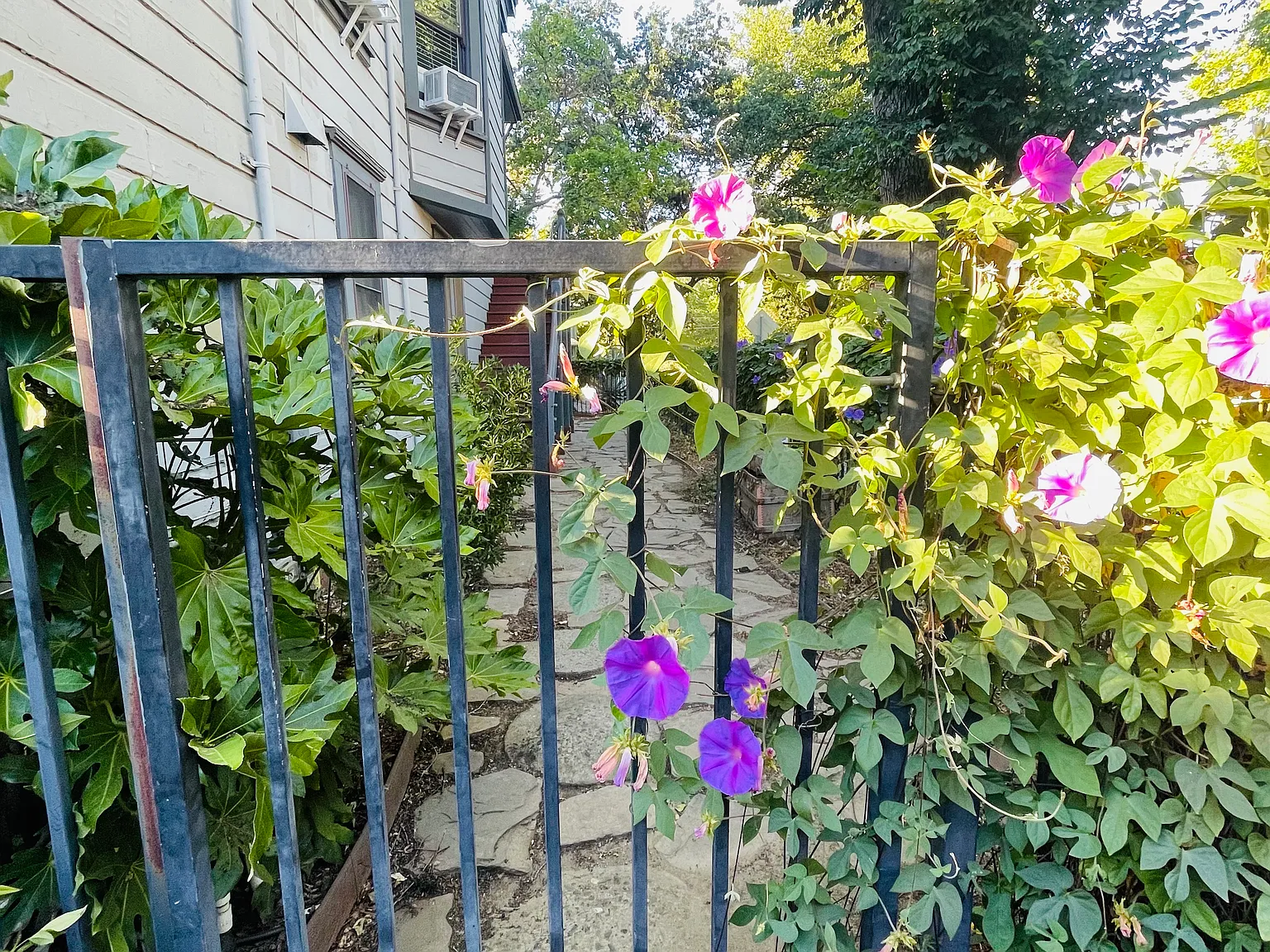 3 bed, 1100 sqft, $2,650 — Photo 3