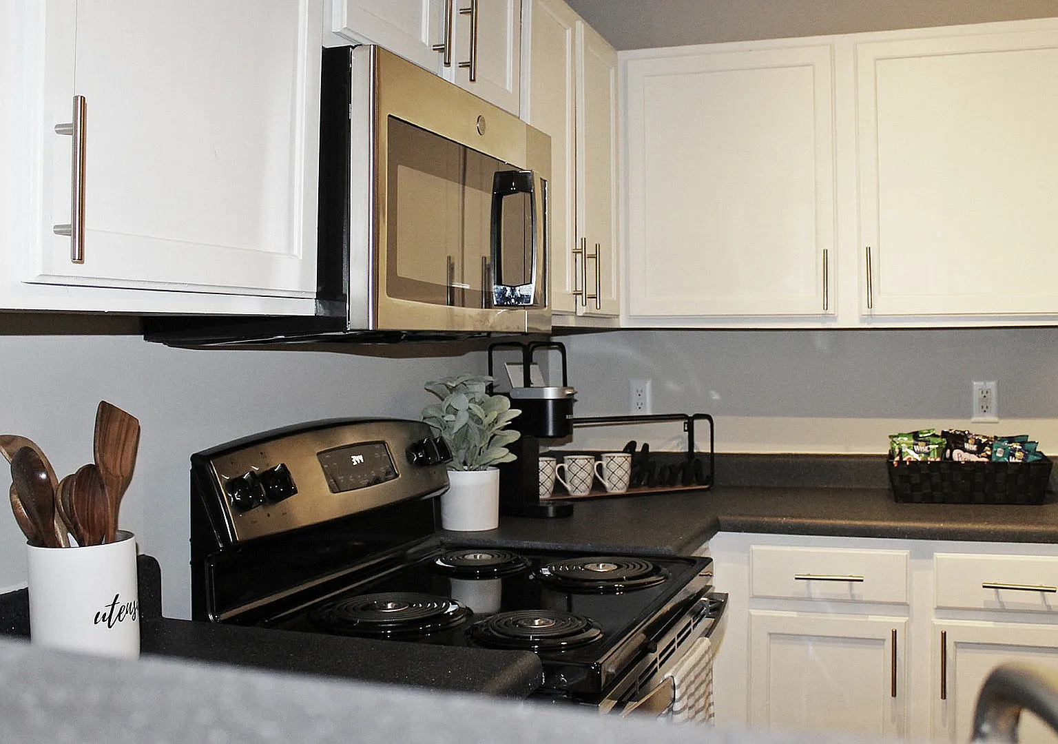 Centennial Village Student Housing — Photo 4