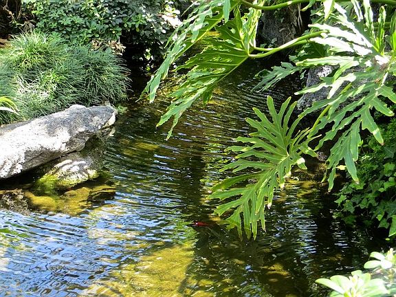 Pond in central courtyard
