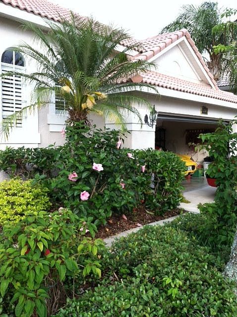 front elevation