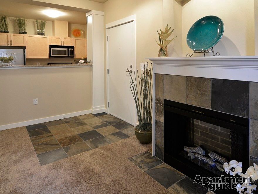 Electric Fireplace