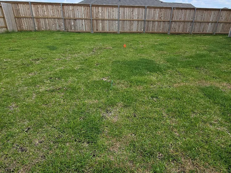 26706 Dalmatian Bellflower Dr — Photo 7