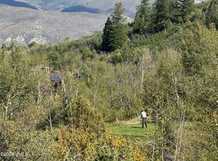 217 Saddle Rock, Wolcott, CO 81655