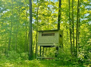 Reeves Rd, Curran, MI 48728