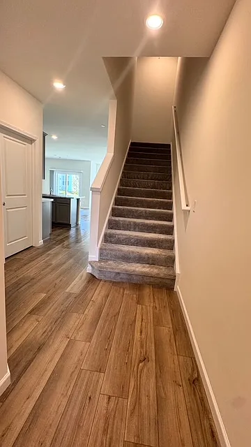 5952 Hawkweed Dr — Photo 4