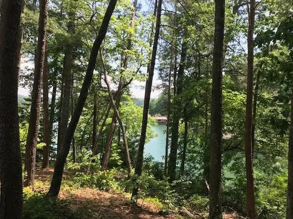 227 S Lake Dr, Sunset, SC 29685