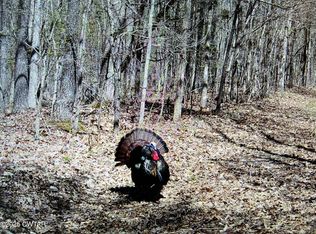 0 Bowman Rd, Medon, TN 38356