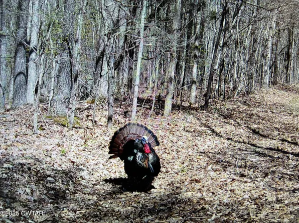 0 Bowman Rd, Medon, TN 38356