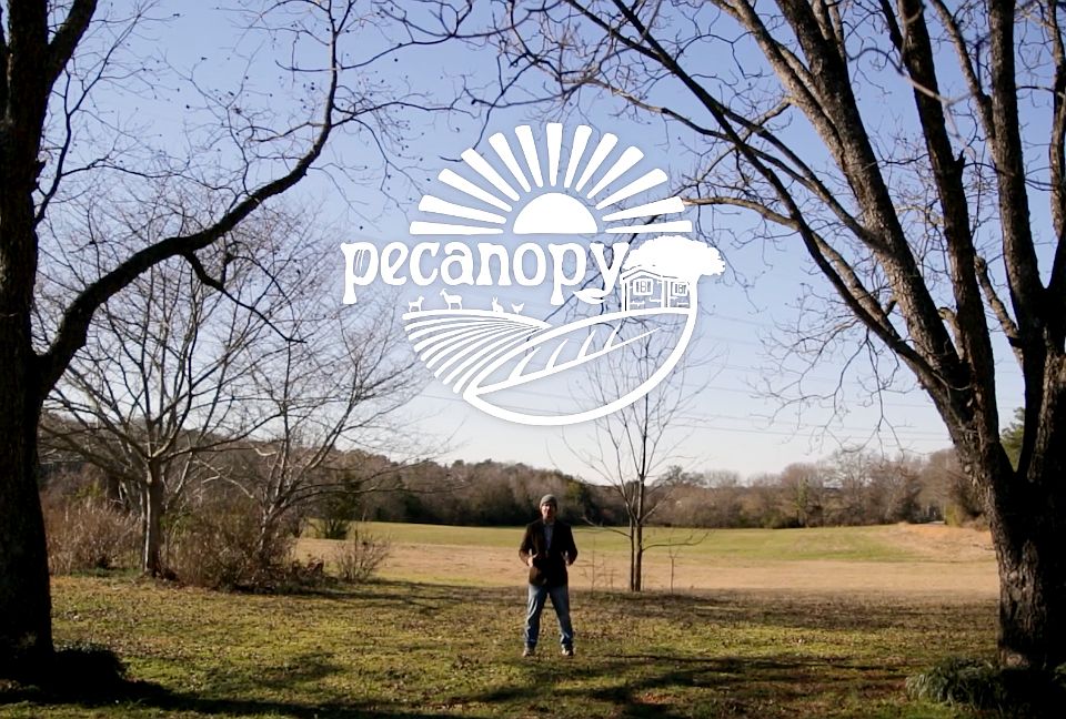 Pecanopy Farms (Pendleton, SC)