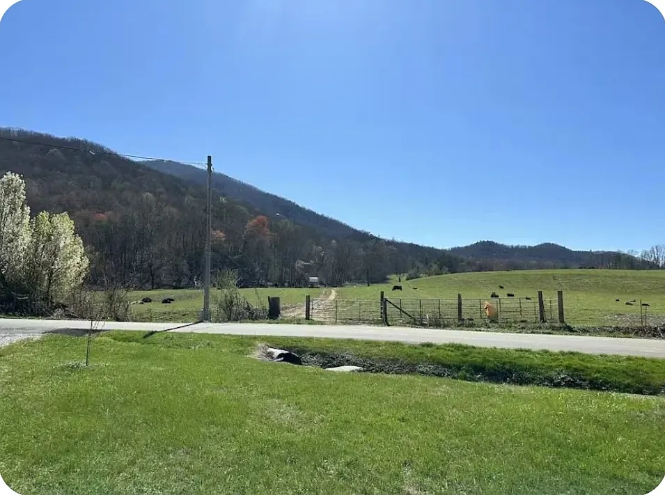 3 bed, 2100 sqft, $2,950 — Photo 3