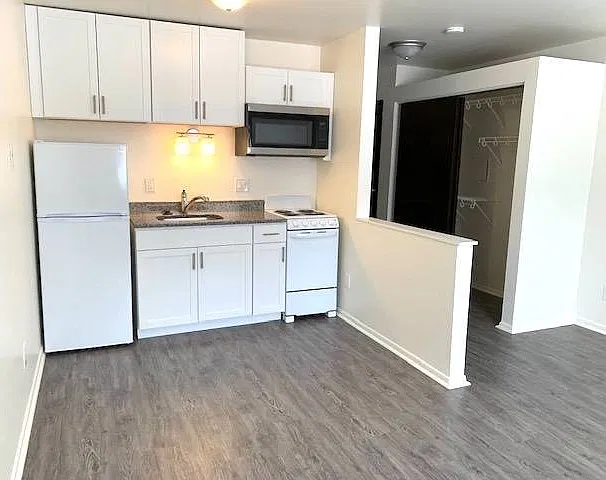 Renovated Kitchen