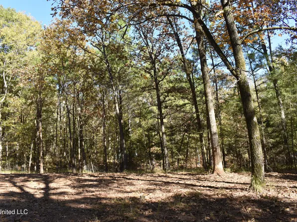 6400 Tate Marshall Rd Lot 14, Coldwater, MS 38618