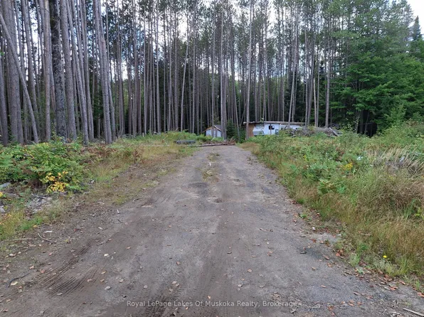 1318 Old North Rd, Huntsville, ON P1H 2J4