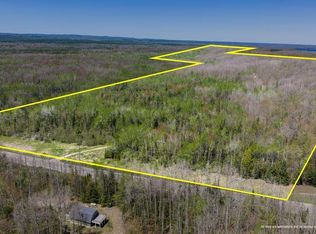 8959 Robinson Rd, Pellston, MI 49769
