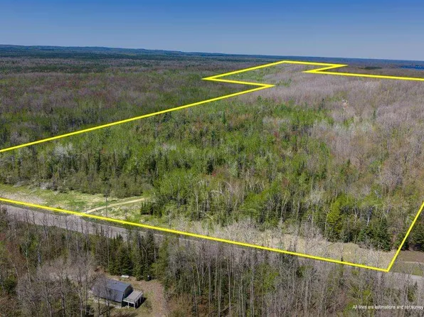8959 Robinson Rd, Pellston, MI 49769