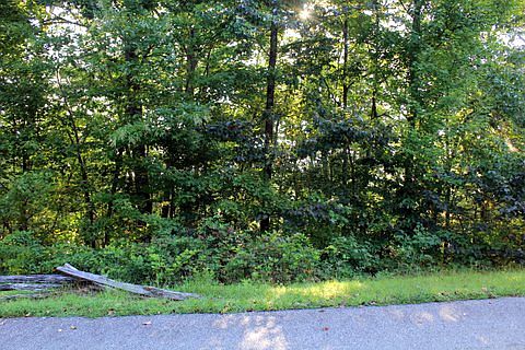2nd image of 3 Acre Lot Bear Mountain Ridge