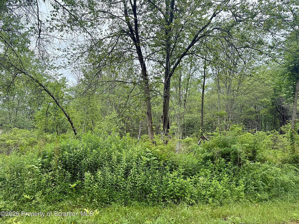 1st image of 80 Highpoint Dr